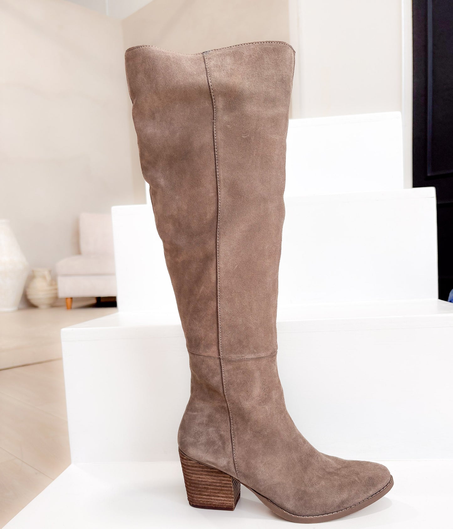 Tarian Tall Suede Boot in Taupe