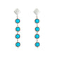 Prairie Nomad Earrings