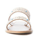 The Sagebrush Slides In White