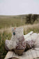 Myra Sierra Belle Handtooled Leather Booties in Almond White