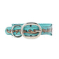 Turquoise Sky Southwest Dog Collar in Turquoise