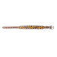 Prairie Sunflower Trail Dog Collar in Sandstone